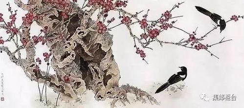 喜鹊爆料视频,揭秘视频背后的惊人真相